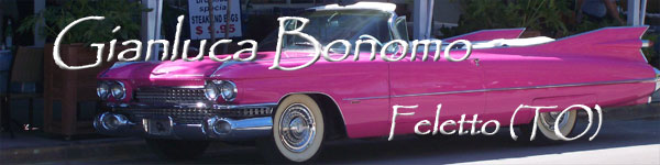 Gianluca Bonomo - Feletto (TO)