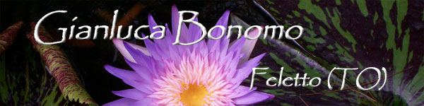 Gianluca Bonomo - Feletto (TO)